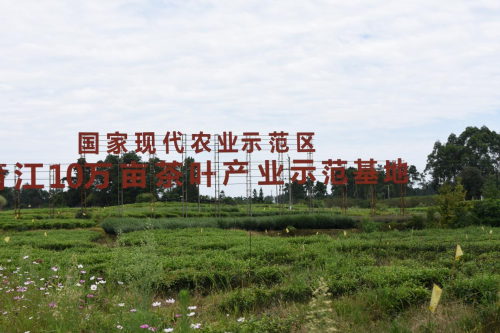 中國民族品牌 中國民族品牌