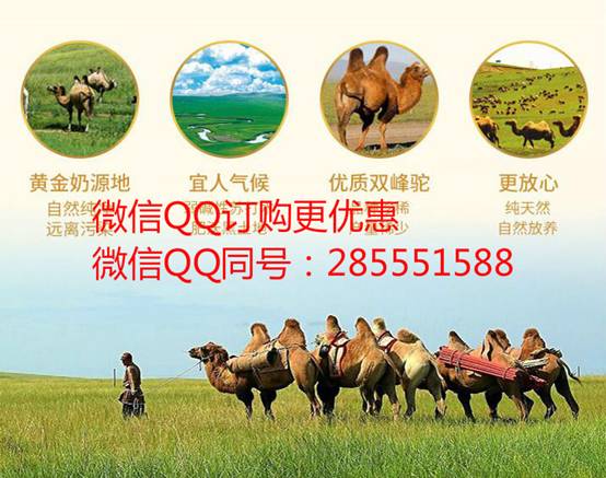 中國民族品牌網