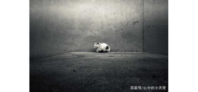 關于現代的「未來自閉癥」，專家怎么說？