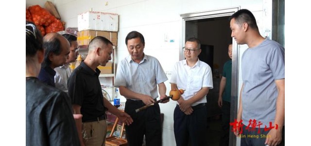戴新賢在縣民族樂器制作協會調研時強調，振興民族樂器產業奏響了衡山發展的最強音。