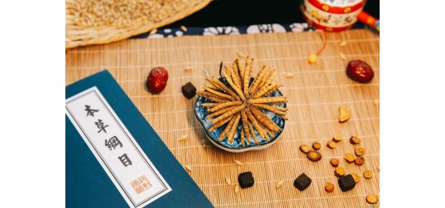中藥第一民族品牌，股價從163元跌到53元，曾經的龍頭還能漲嗎？